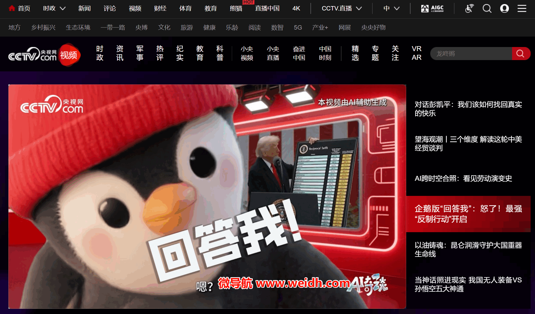 央视网视频